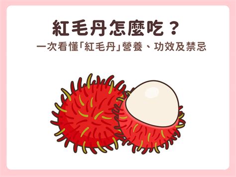 紅毛苔禁忌|【紅毛苔禁忌】紅毛苔狂補鐵？營養師揭秘：小心紅毛。